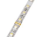 LED juosta, 16W/m, 1600Lm/m, 24V, 3 metai garantija, IP54, šalta balta šviesa
