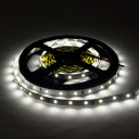 LED juosta, 4.8W/m, 300Lm/m, 12V, Pro, šalta balta šviesa