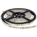 LED juosta, 4.8W/m, 300Lm/m, 12V, Pro, IP54, šalta balta šviesa