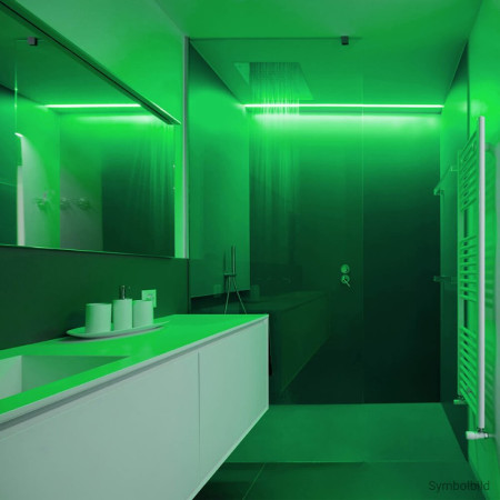 LED juosta, 4.8W/m, 300Lm/m, 12V, Pro, IP54, žalia šviesa