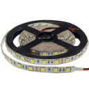LED juosta, 14.4W/m, 1000Lm/m, 12V, Pro, šalta balta šviesa