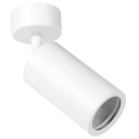 LED taškinis šviestuvas, 1 lemputė, baltas