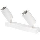LED taškinis šviestuvas, 2 lemputės, baltas