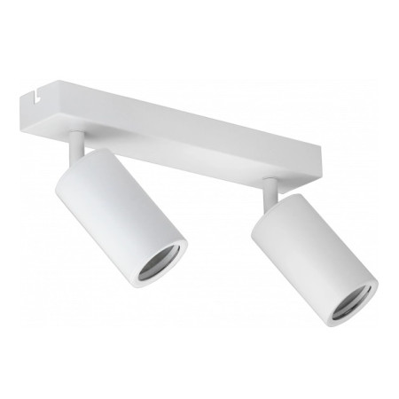 LED taškinis šviestuvas, 2 lemputės, baltas