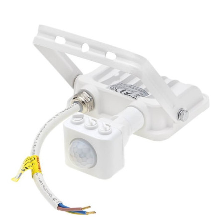 LED prožektorius, baltas, PIR jutiklis, 10W, 120°, šalta balta šviesa