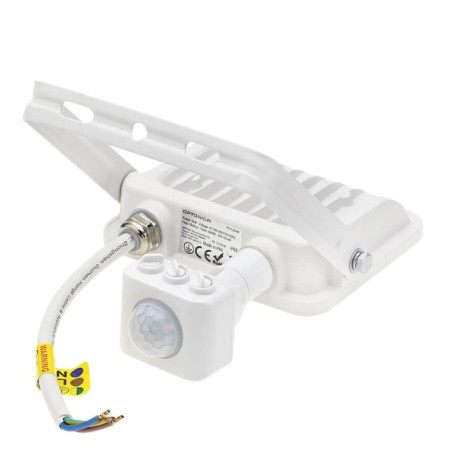 LED prožektorius, baltas, PIR jutiklis, 20W, 120°, šalta balta šviesa