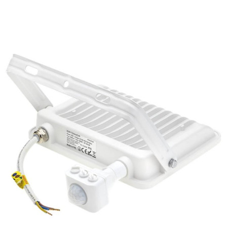 LED prožektorius, baltas, PIR jutiklis, 50W, 120°, neutrali balta šviesa