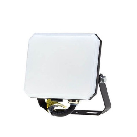 LED prožektorius, baltas, pieno spalvos lęšiai, 50W, neutrali balta šviesa