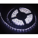 Lanksti LED juosta 12V 14.4W/m su 60 LED/1m 5050 SMD LED