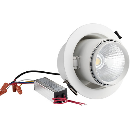 LED šviestuvas, apvalus, pasukamas, 35W, šalta balta šviesa