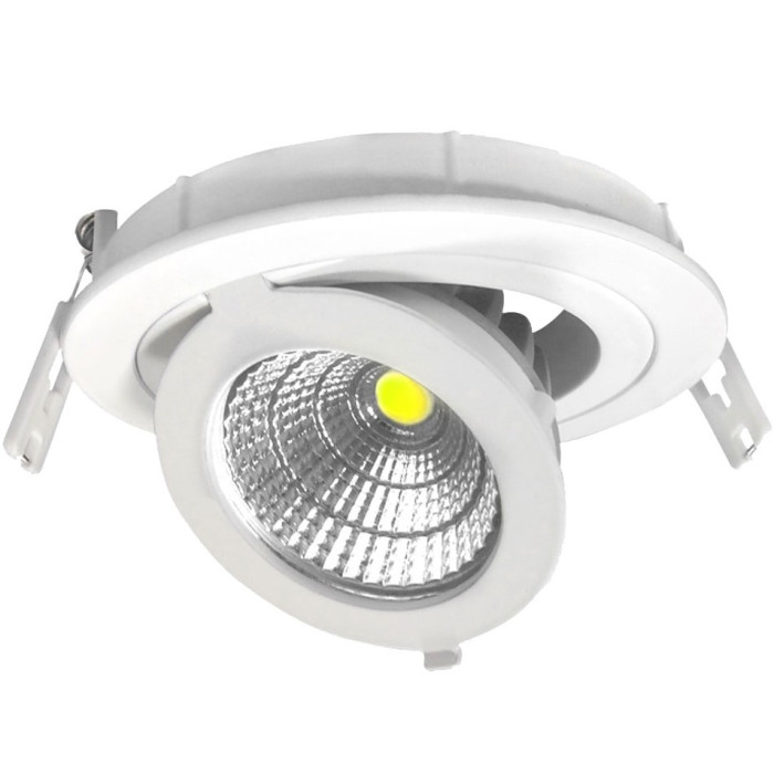 LED šviestuvas, apvalus, reguliuojamas, 12W, šalta balta šviesa