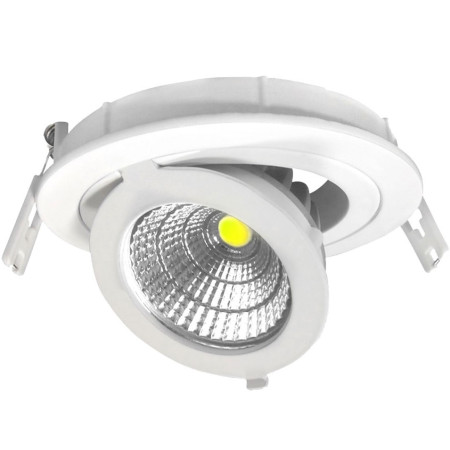 LED šviestuvas, apvalus, reguliuojamas, 12W, šalta balta šviesa