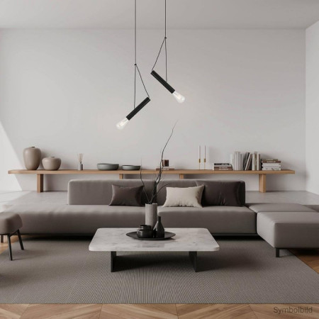 LED lubų šviestuvas, juodas, 400mm