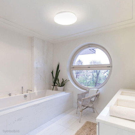 LED lubų šviestuvas, 24W, šalta balta šviesa