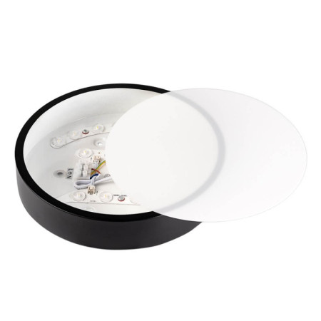 LED lubų šviestuvas, 18W, juodas, neutrali balta šviesa