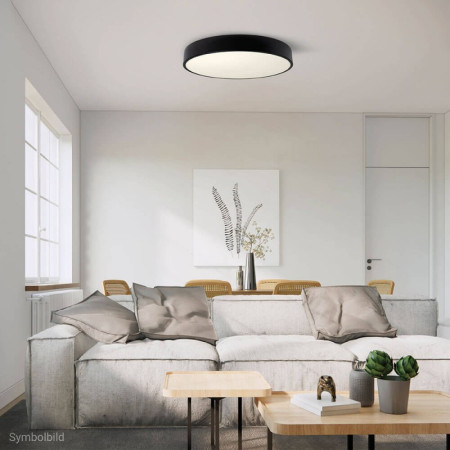 LED lubų šviestuvas, 30W, juodas, neutrali balta šviesa