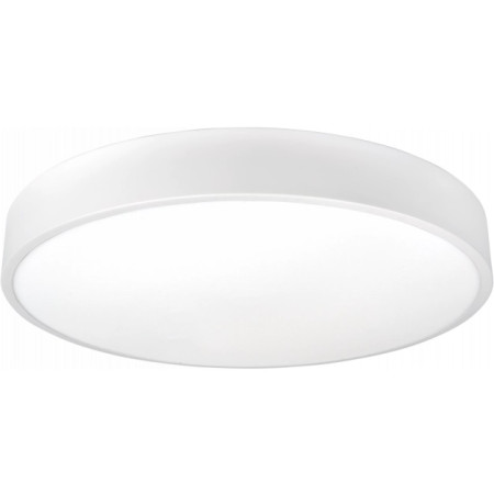LED lubų šviestuvas, 30W, baltas, neutrali balta šviesa