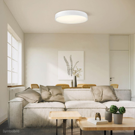 LED lubų šviestuvas, 30W, baltas, neutrali balta šviesa