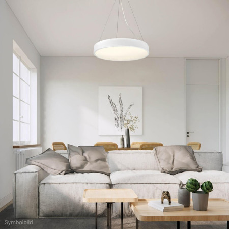 LED lubų šviestuvas, 30W, baltas, neutrali balta šviesa