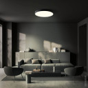 LED lubų šviestuvas, 54W, juodas, neutrali balta šviesa