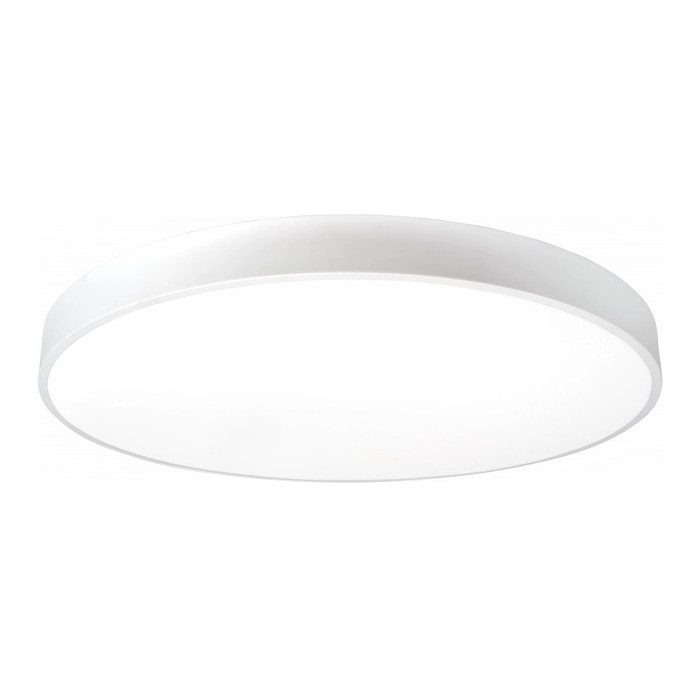 LED lubų šviestuvas, 54W, baltas, neutrali balta šviesa