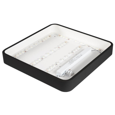 LED lubų šviestuvas, 36W, juodas, kvadratinis, neutrali balta šviesa