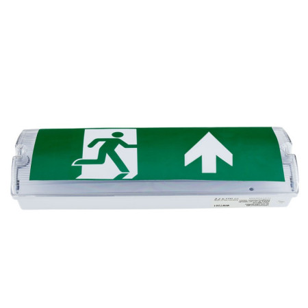 LED evakuacinis šviestuvas, 4W, 3 val., paviršinis