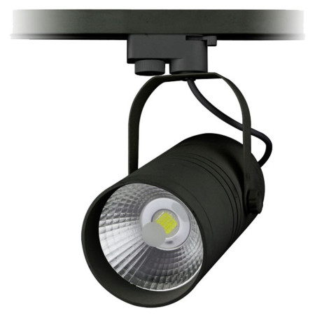 LED bėginis šviestuvas, 3F, 25W, 2000Lm, juodas, šalta balta šviesa