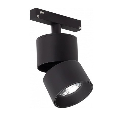 LED magnetinis prožektorius M20, 10W, 800Lm, neutrali balta šviesa