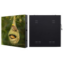 LED ekranas, lauko, P5