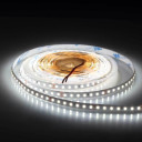 LED juosta, 10W/m, 1300Lm/m, 24V, šalta balta šviesa