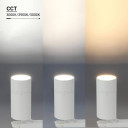 LED bėginis šviestuvas, 3F, 20W/25W/30W, 90Lm/W, baltas, CCT spalvos