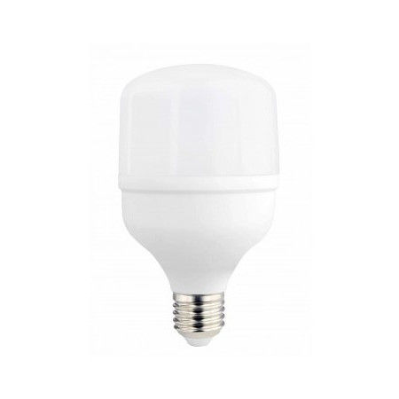 LED lemputė E27 T80 24W, šalta balta šviesa