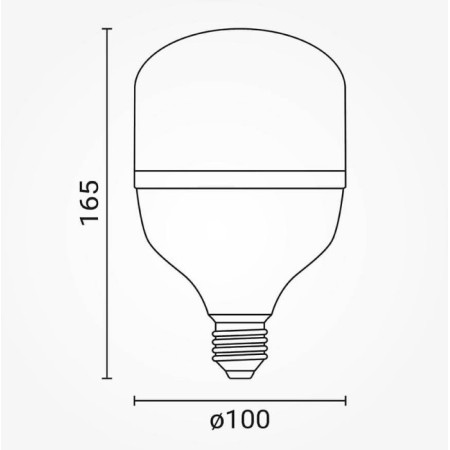 LED lemputė E27 T100 30W, neutrali balta šviesa