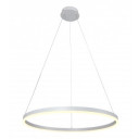 LED pakabinamas šviestuvas, 22W, baltas, šilta balta šviesa