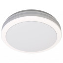 LED lubų šviestuvas, 20W, baltas, CCT šviesa