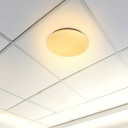 LED lubų šviestuvas, 12W, DIP-Switch, matinis gaubtas žvaigždutėmis, CCT šviesa