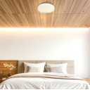 LED lubų šviestuvas, 12W, DIP-Switch, matinis gaubtas žvaigždutėmis, CCT šviesa