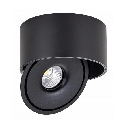 LED lubų šviestuvas, 20W, apvalus, reguliuojamas, juodas, CCT šviesa