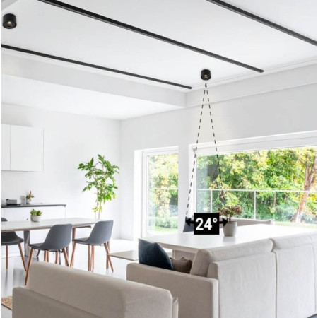 LED lubų šviestuvas, 10W, juodas, neutrali balta šviesa