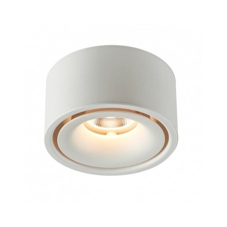 LED lubų šviestuvas, 10W, baltas, neutrali balta šviesa