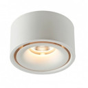 LED lubų šviestuvas, 10W, baltas, neutrali balta šviesa