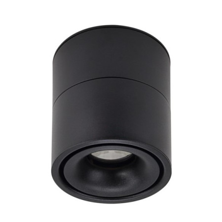 LED lubų šviestuvas, 12W, juodas, reguliuojamas, neutrali balta šviesa