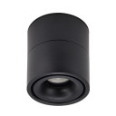 LED lubų šviestuvas, 12W, juodas, reguliuojamas, šilta balta šviesa