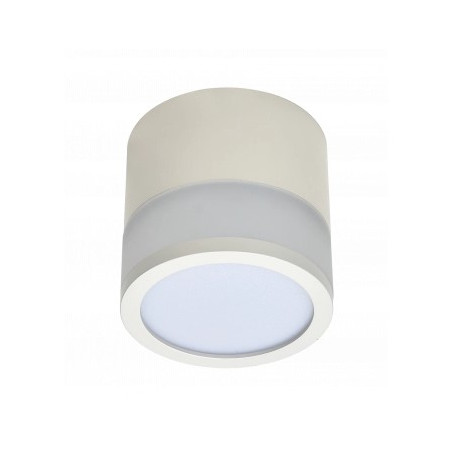 LED lubų šviestuvas, 7W, apvalus, baltas, neutrali balta šviesa