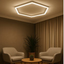 LED korys (hexagon), 1HEX, 42W, šalta balta šviesa