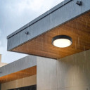 LED lubų šviestuvas, juodas, 30W, šilta balta šviesa