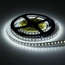 LED juosta, 9.6W/m, 1200Lm/m, 24V, Pro, šalta balta šviesa