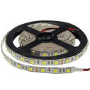 LED juosta, 12W/m, 1000Lm/m, 12V, Pro, šalta balta šviesa